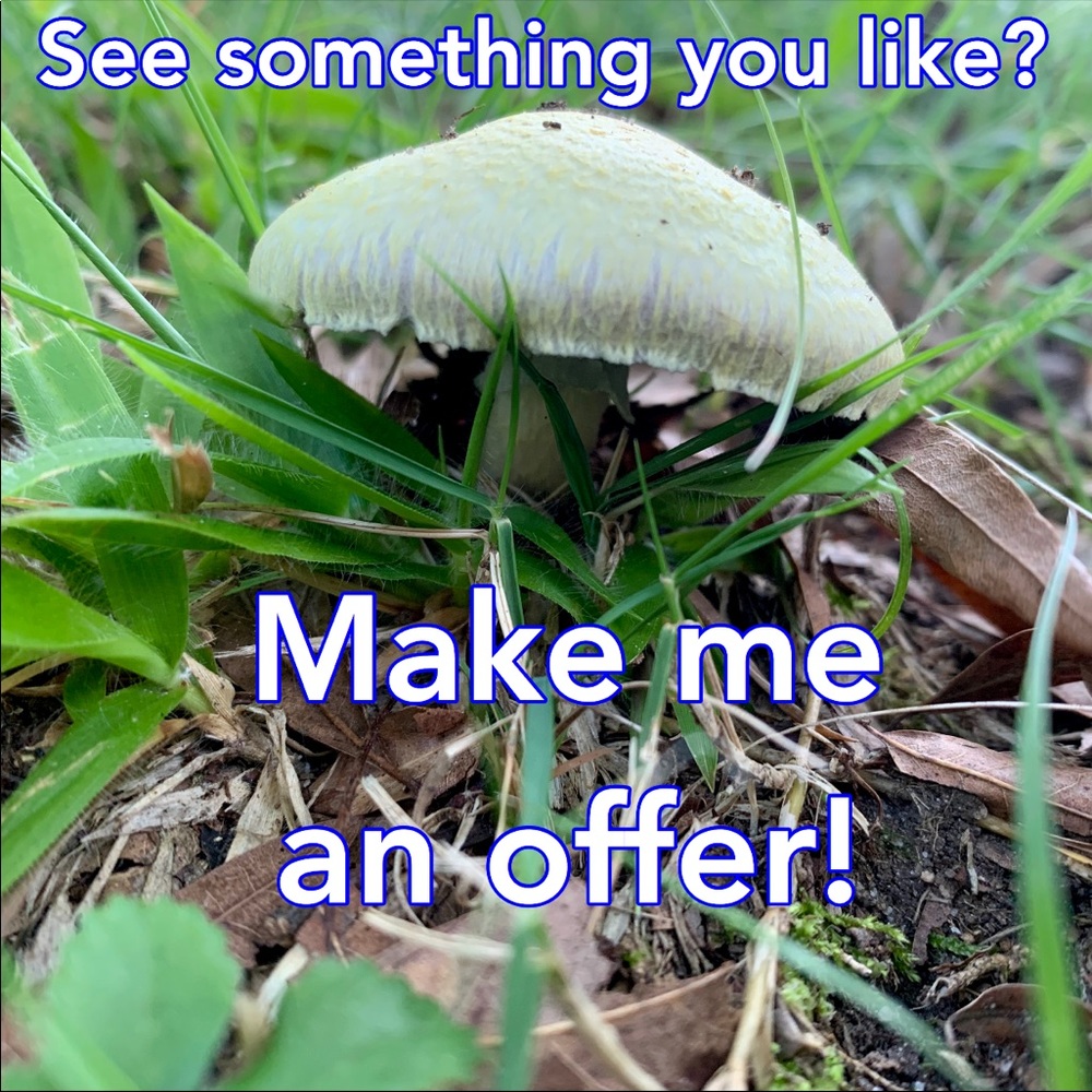 Don’t be shy - make me an offer :)